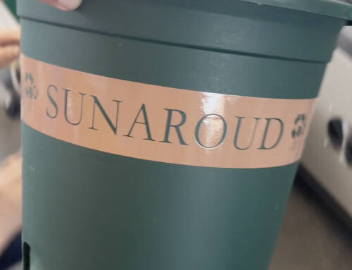 Flower pot Sunaroud1 printing