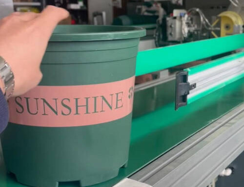 Flower pot Sunshine printing